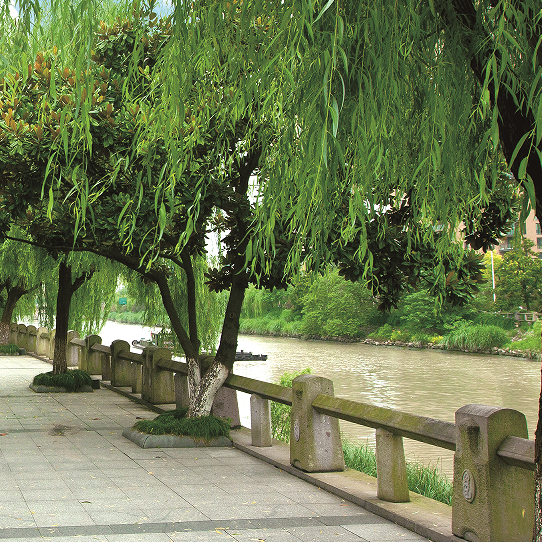 河道道路景觀工程